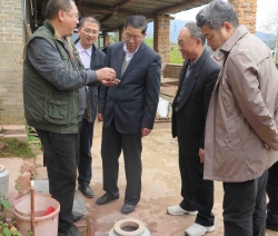 福建省品牌建设促进会专家委员会主任支毅隆一行 到建阳调研建盏产业发展情况