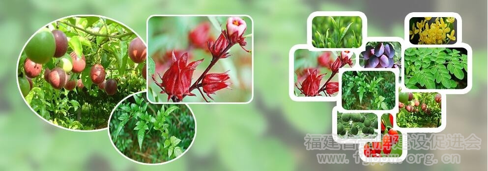 QQ截图20170518103808