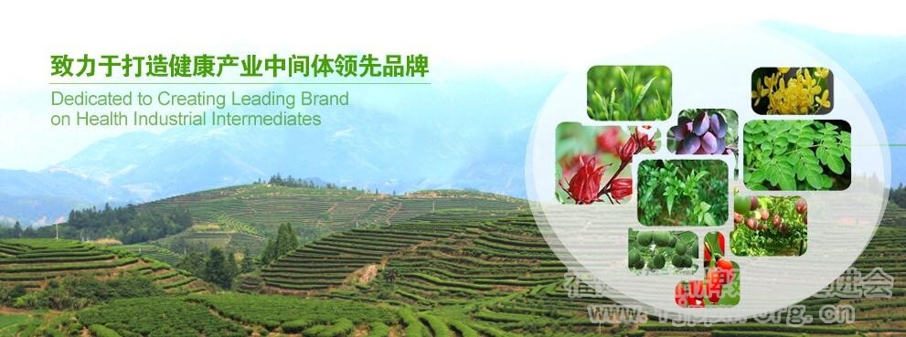 QQ截图20170518103630