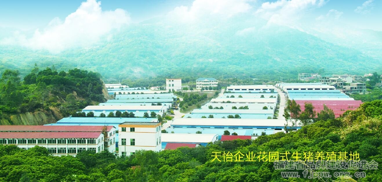 QQ截图20170522124526