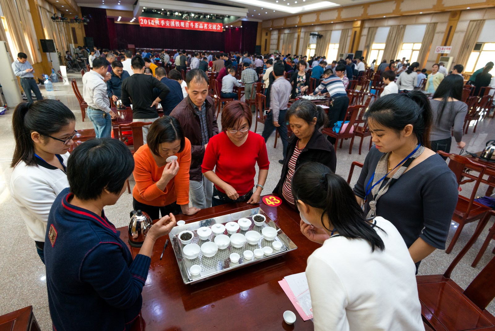 2016年安溪铁观音斗茶品茗交流会（刘伯怡摄）