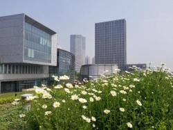 【干货】全域旅游时代，景区绕不过的4大问题和6大破法