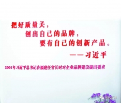 让“闽字号”品牌引领福建高质量发展之路