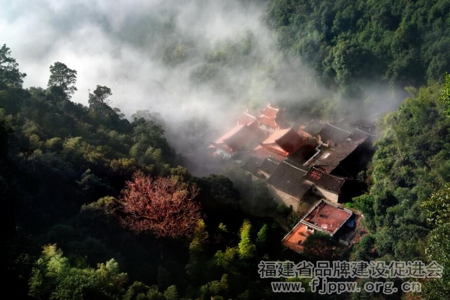 QQ截图20200319113104