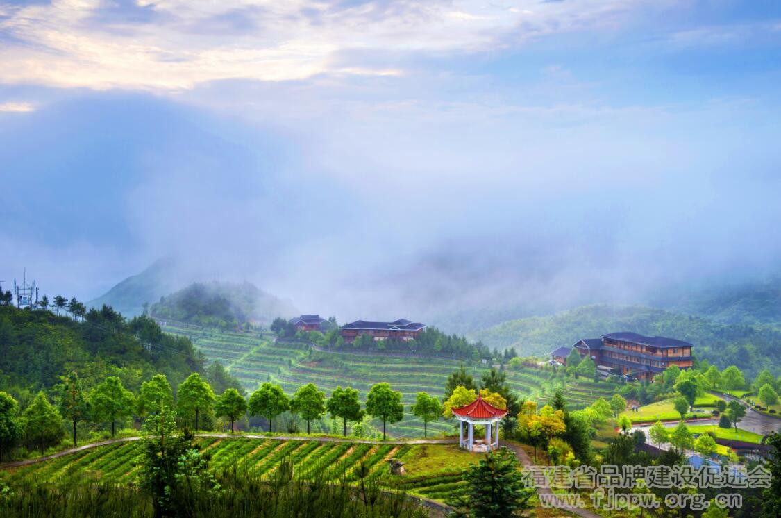 QQ截图20200819113630