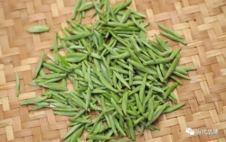 政和白茶品牌价值50.34亿元，荣登百强榜单！