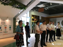 福建省品牌建设促进会专家委员会主任支毅隆一行前往南平调研