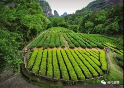 南平：上半年GDP增长12.2% 绿色产业提档升级