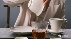 以茶为媒，迎八方来客！武夷山水·大众茶馆即将璀璨开业啦