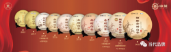 福建茶叶进出口有限责任公司：以“国企”之担当 塑茶业新气象
