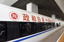开启品牌传播新征程，“政和白茶”号冠名高铁正式发车