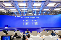 八连冠！安溪铁观音蝉联区域品牌价值榜榜首！