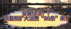 国务院办公厅转发国家发展改革委关于恢复和扩大消费措施的通知