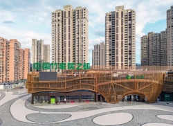 把小竹子做成大产业！《南平市竹产业千亿行动方案》出台