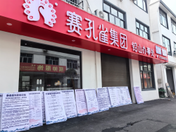 凝聚共识 • 聚力同行 | 赛孔雀集团发布2024年度营销战略