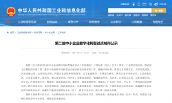 工信部、财政部公示！福建两市纳入试点