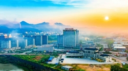 势如破竹 建瓯竹产业稳步疾行
