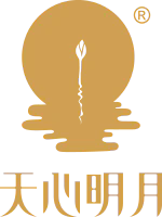 66454_166176142286652.webp