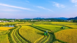 有关“三农”工作！2025年福建省委一号文件发布