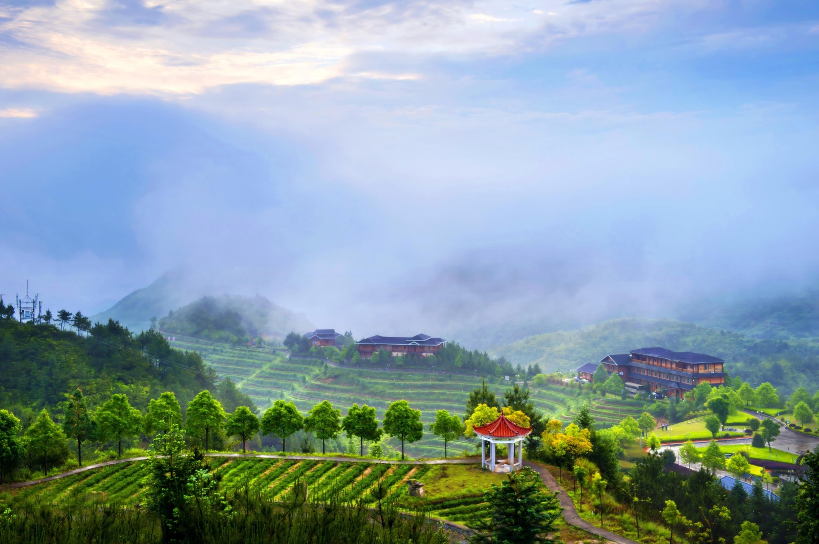 华祥苑茶庄园-7