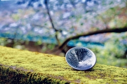 蔡龙：非遗薪火铸釉色 百花入盏绽芳华