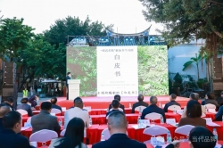 榕城推介“邵”声远 “武”夷黄精满堂彩