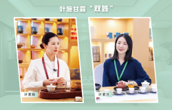 叶施甘霖：一脉并蒂承古法 云雾深处生新香