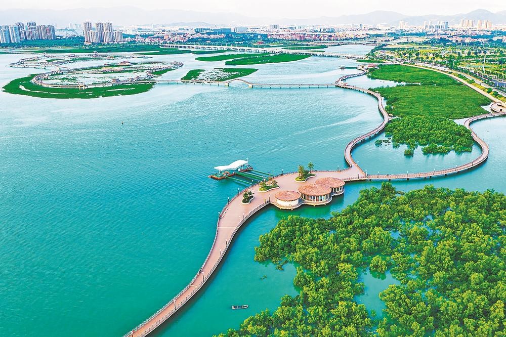 厦门下潭尾湿地公园,