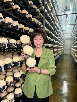 深耕古田菌业沃土 智造全球银耳品牌