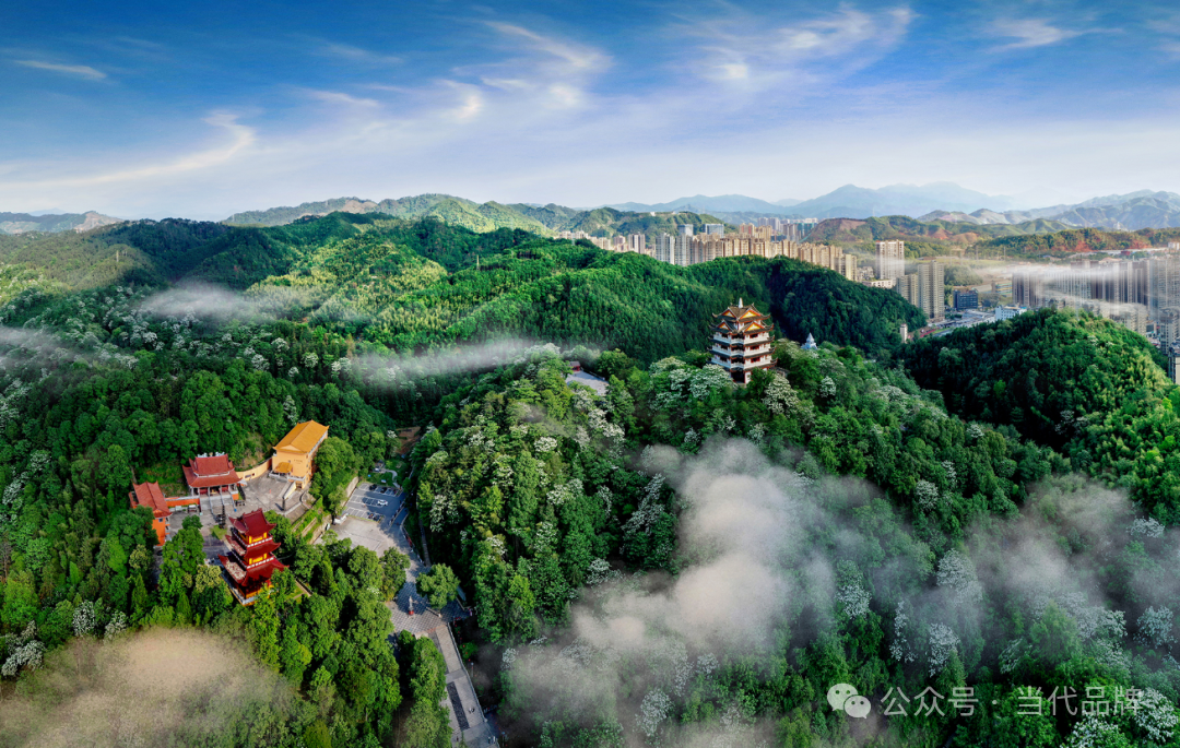 微信图片_2026-10-27_092019_723
